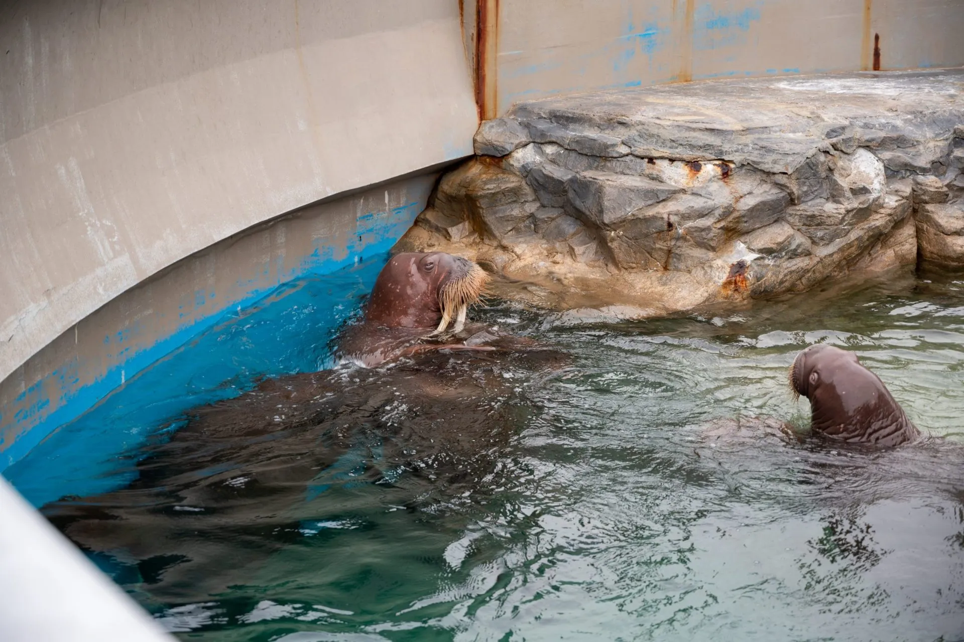 鴨川シーワールドの展示