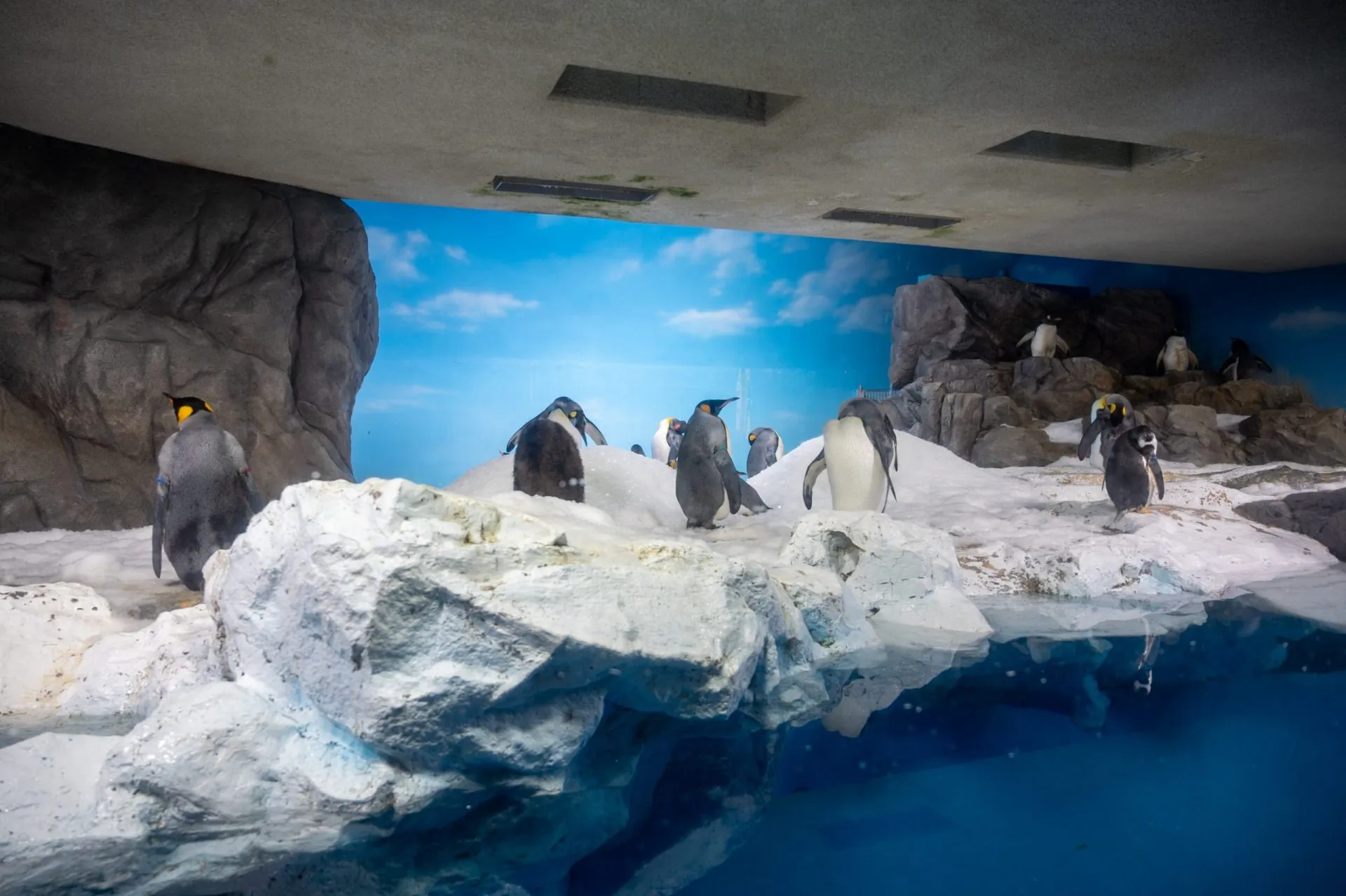 鴨川シーワールドの展示