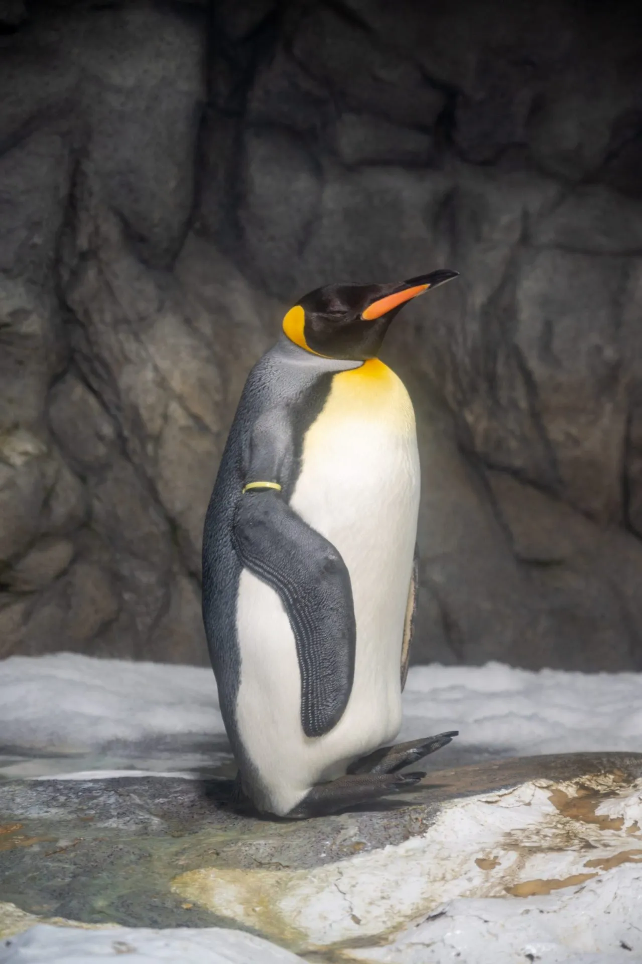 鴨川シーワールドの展示