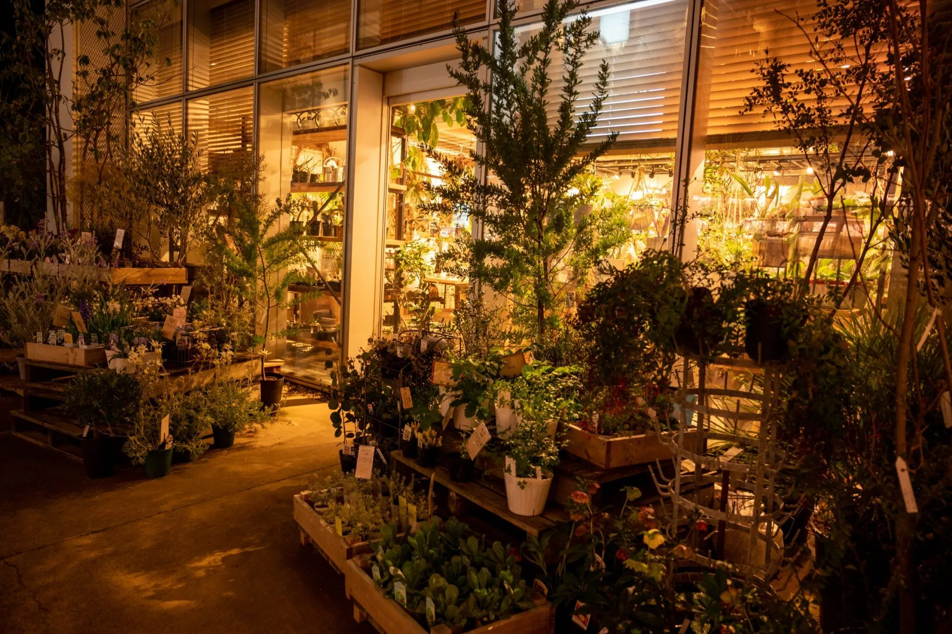 箱根・熱海エリアの風景