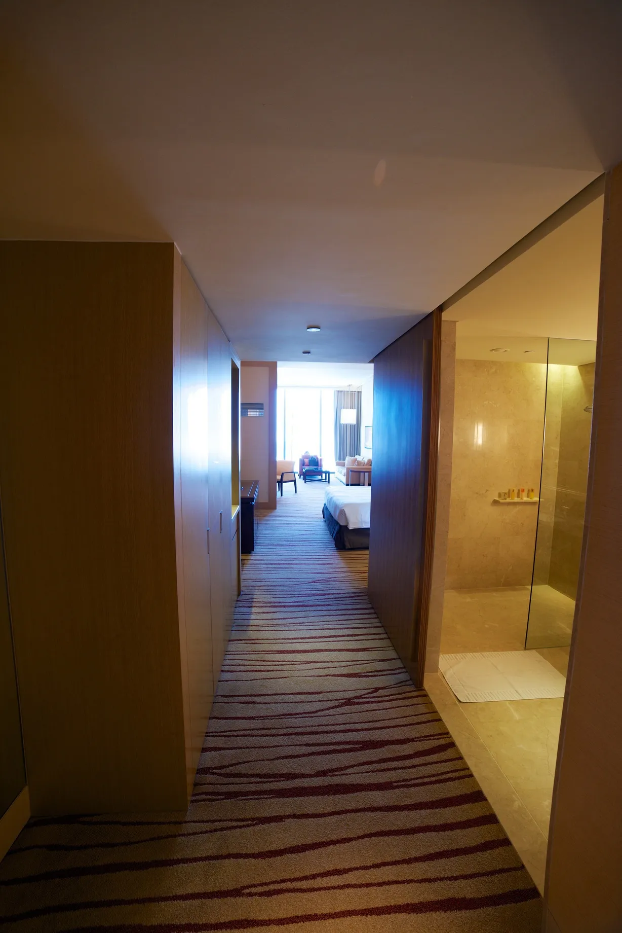 広々とした客室の全景