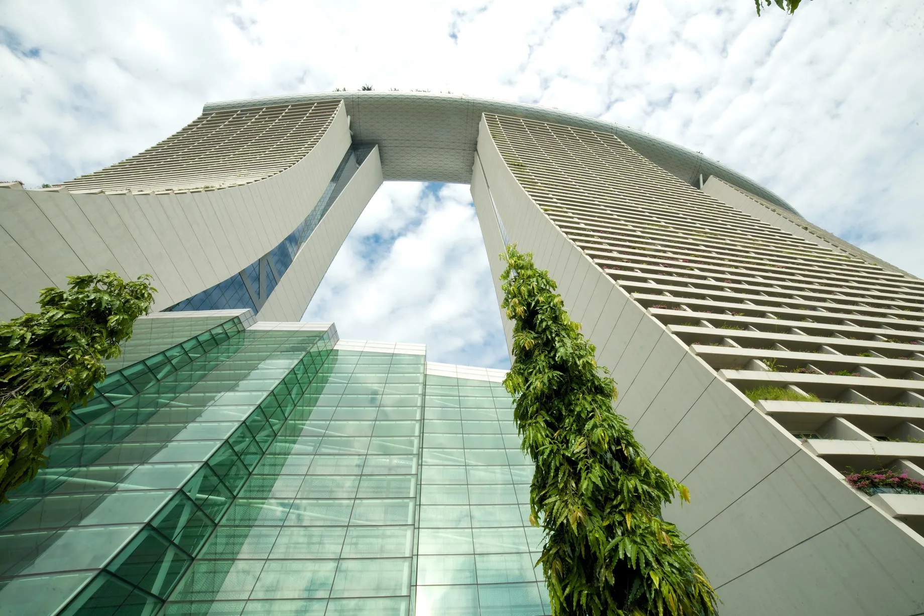 Gardens by the Bayの巨大ツリー