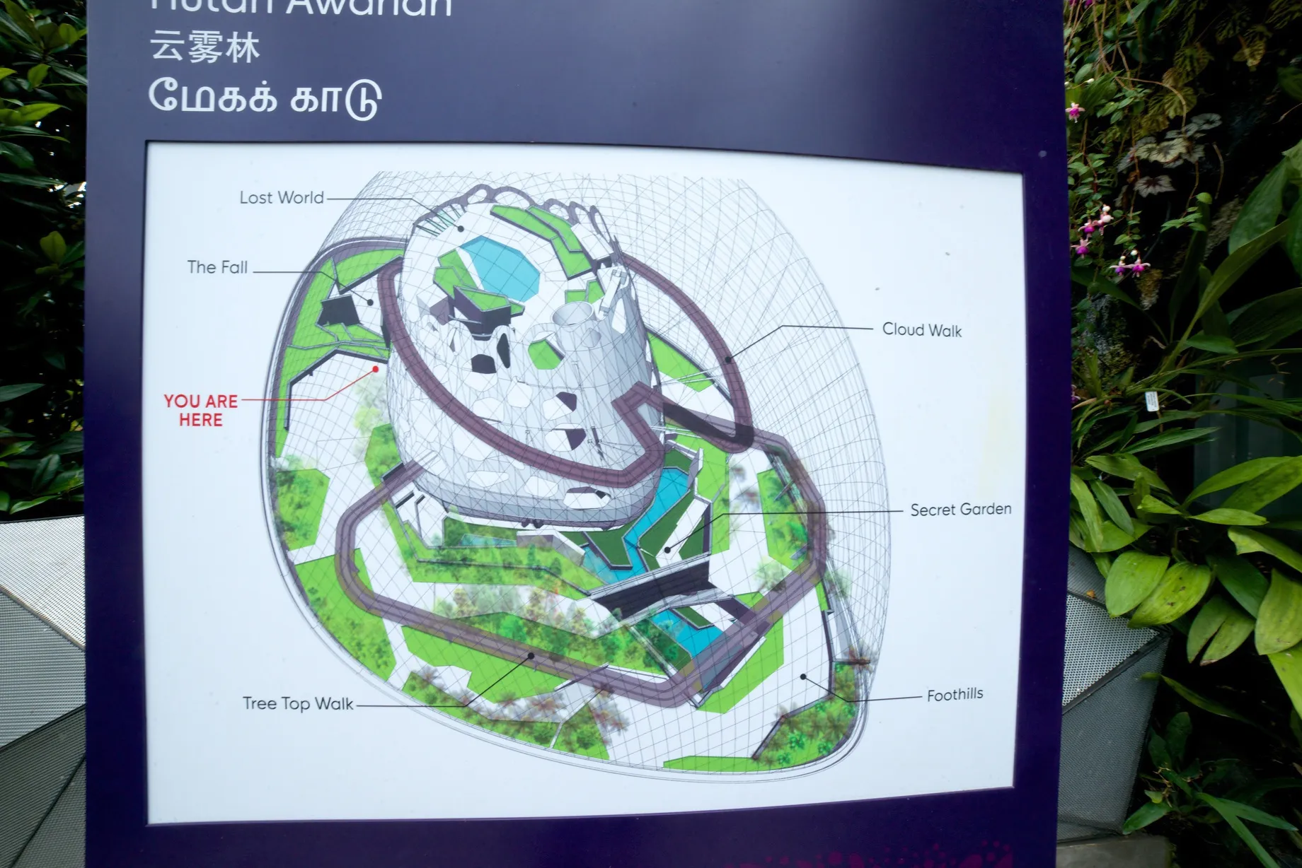 ラッフルズホテルの外観