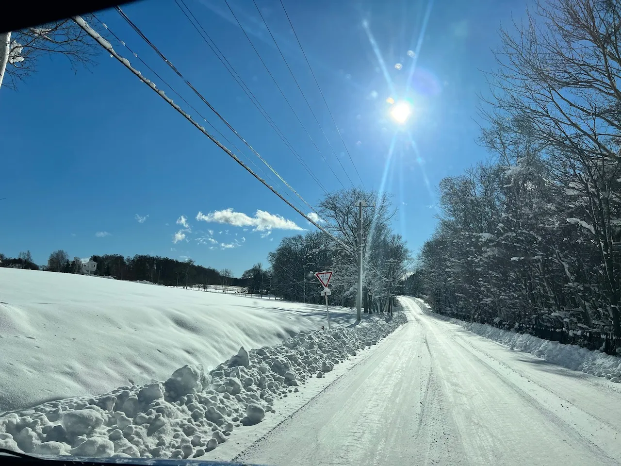 クラーク博士の丘の風景