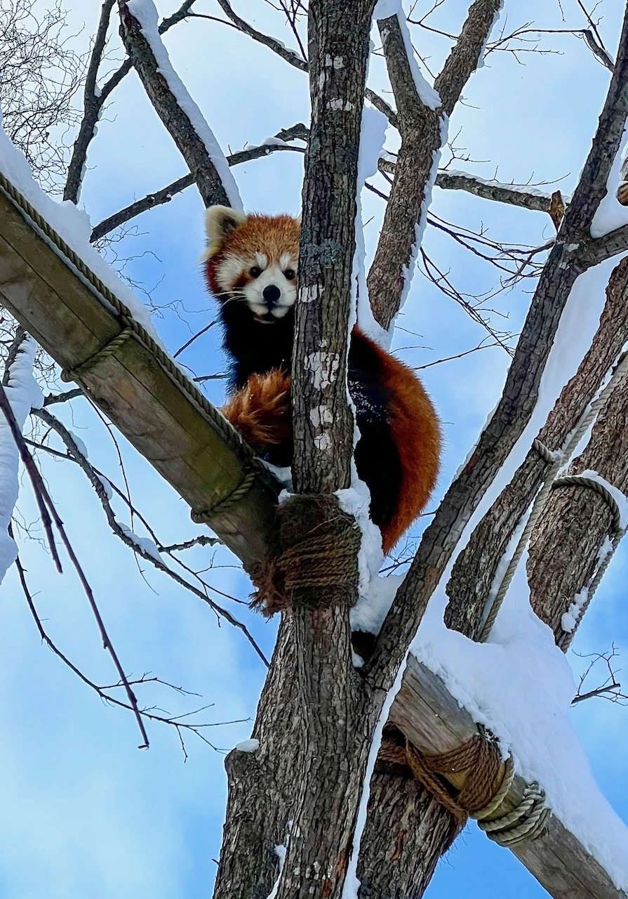 初めて北海道へ旅行