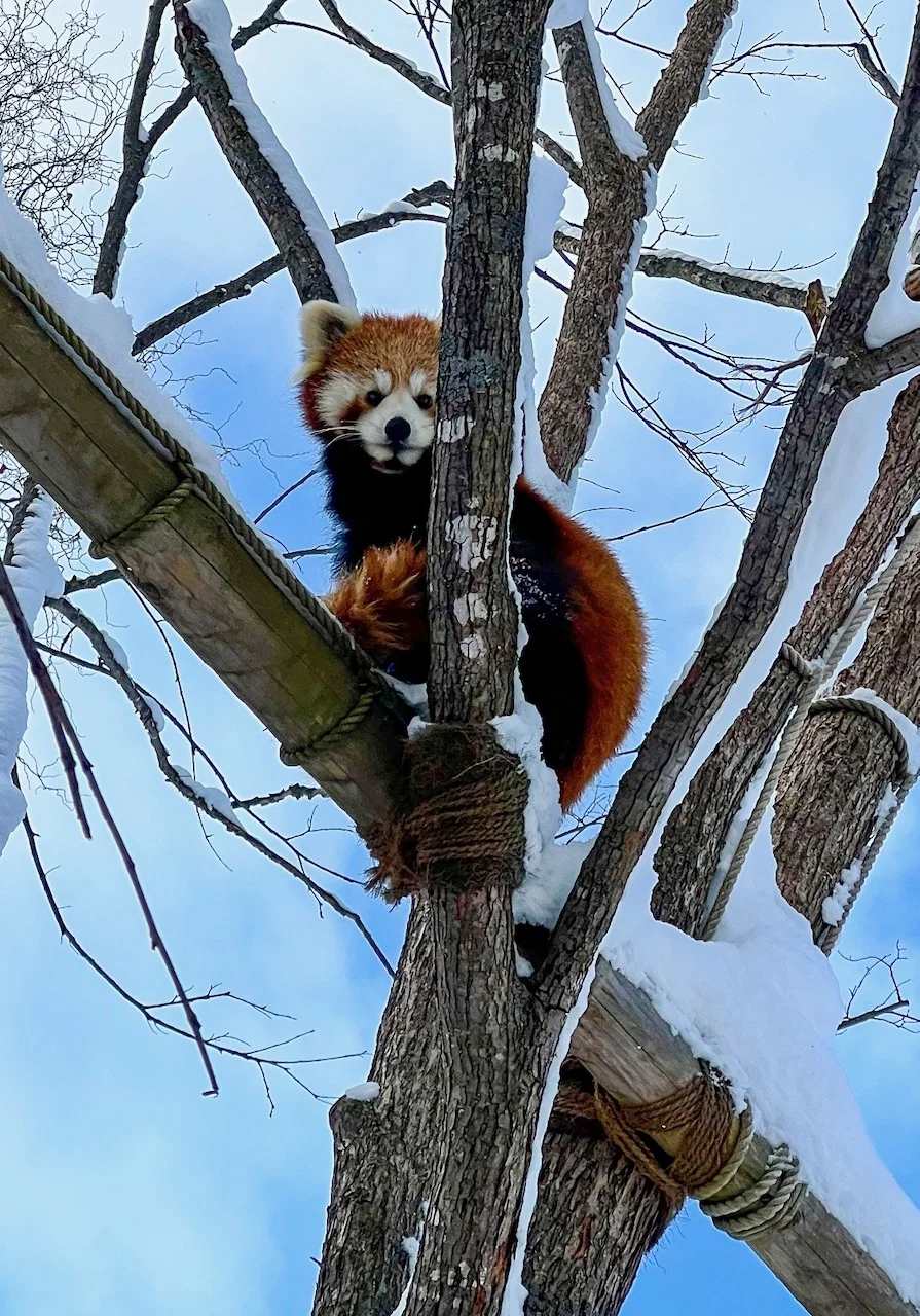 初めて北海道へ旅行
