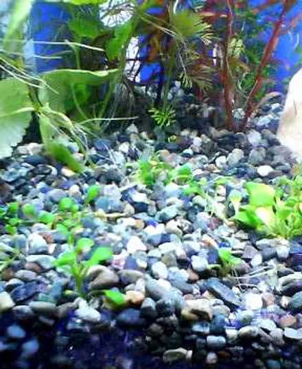 Cover Image of the Post