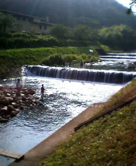 Cover Image of the Post