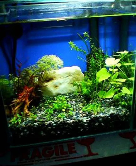 Cover Image of the Post