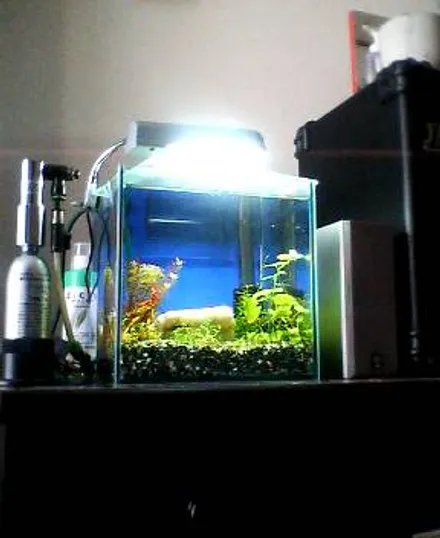 Cover Image of the Post