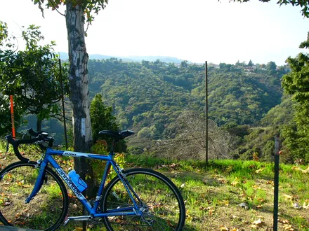 Cover Image of the Post