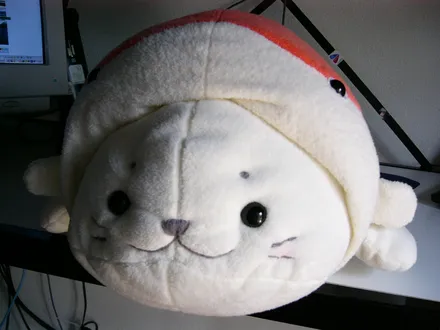 Cover Image of the Post