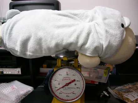 Cover Image of the Post