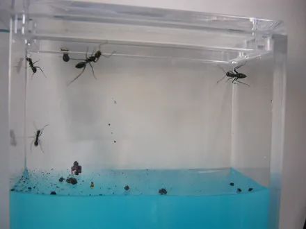 Cover Image of the Post