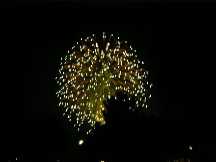 Cover Image of the Post