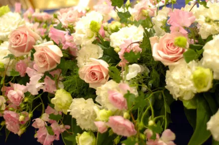 Cover Image of the Post