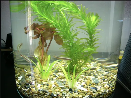 Cover Image of the Post