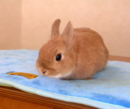 Cover Image of the Post