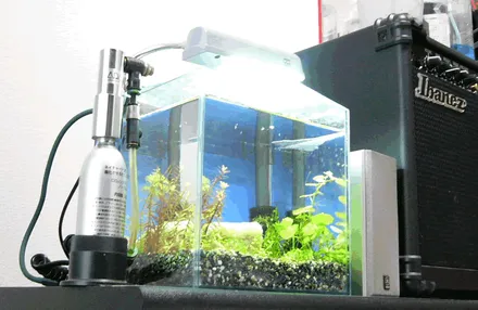 Cover Image of the Post