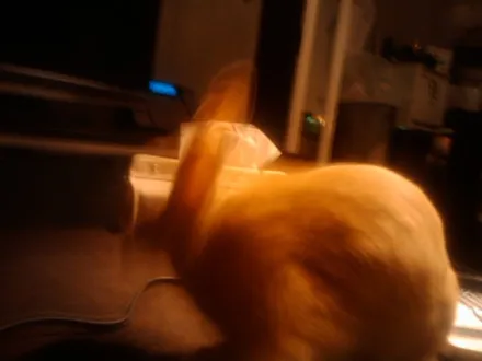 Cover Image of the Post